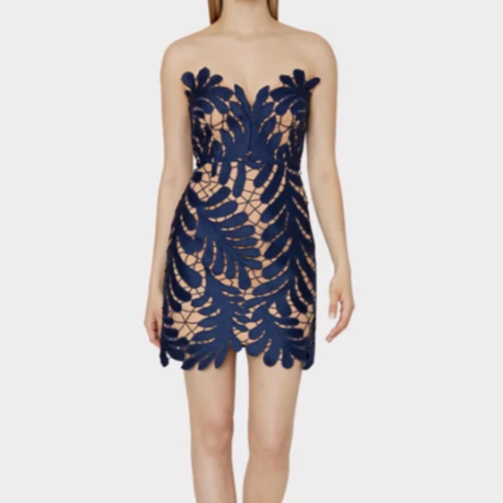 MILLY Osianna Strapless Leaf Lace Mini Dress (Size 4)